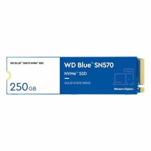 WD 250 GB Blue SSD disk M.2 3300 MB/1200 MB, 80 mm, SN 570 obraz