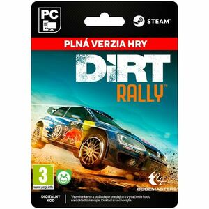 DiRT Rally [Steam] obraz