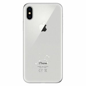 Odolné silikonové pouzdro iSaprio - čiré - Lev - iPhone X obraz