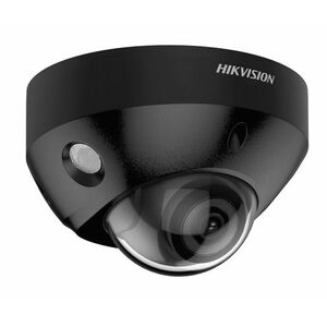 Hikvision DS-2CD2547G2-LS(2.8mm)(C)(BLACK) obraz