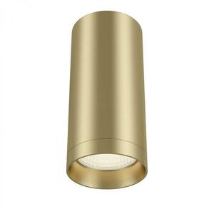 MAYTONI Stropní svítidlo Focus C010CL-01MG obraz