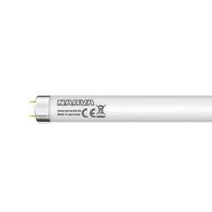 NARVA LT 30W T8/827 obraz