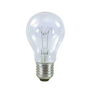 NBB AGR 240V A55 100W E27 CLEAR NBB (POUZE PRŮMYSL) 337005010 obraz