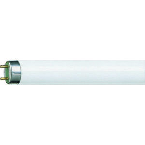 Philips lineární MASTER TL-D 36W / 830 G13 obraz