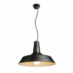 RED - DESIGN RENDL RENDL GOLDIE 46 závěsná černá/bílá 230V E27 42W R11690 obraz