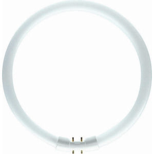 Philips SPL kruhová zářivka TL5 22W/840 2GX13 8718739076709 obraz
