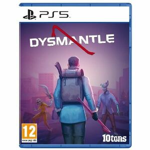 Dysmantle PS5 obraz