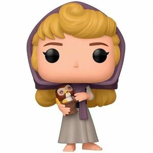 POP! Disney: Aurora with Owl (Šípková Růženka) obraz