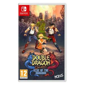 Double Dragon Gaiden: Rise of the Dragons NSW obraz