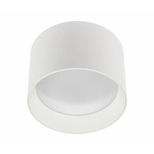 T-LED Bílé stropní LED svítidlo Alexo 120mm 12W IP54 CCT stmívatelné 105140 obraz
