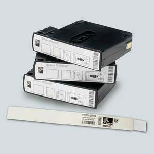 Zebra Z-Band Direct Bílá 10006995K obraz