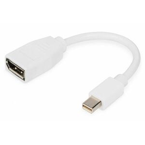 Digitus DB-340405-001-W DisplayPort kabel 0, 15 m Mini DB-340405-001-W obraz