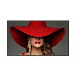 75 D-Line, UHD, 24/7 landscape & portrait, 500cd 75BDL4650D/00 obraz