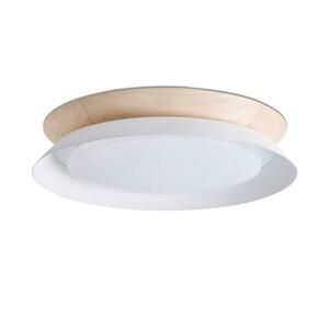 FARO TENDER LED stropní svítidlo, bílá obraz
