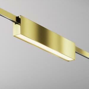 MAYTONI Svítidlo do kolejnice Basis Flarity 2700K 12W 120d TR151-1-12W2.7K-BS-DE obraz