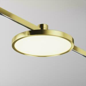 MAYTONI Svítidlo do kolejnice Plato Flarity 2700K 10W 120d TR153-1-10W2.7K-BS-DE obraz