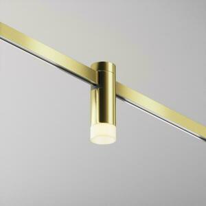 MAYTONI Svítidlo do kolejnice Skim Flarity 2700K 3W 60d TR145-1-3W2.7K-W-BS-DE obraz