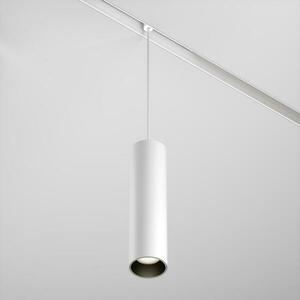 MAYTONI Závěsné svítidlo Focus Led Exility 2700-6000K 12W 36d Dim Dali1 TR041-4-12WTW-DD-W obraz