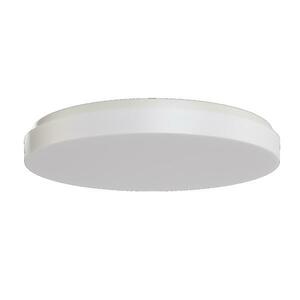 OSMONT COR71554 CORVUS 2 stropní/nástěnné plastové svítidlo IP54 4000 K 49W LED obraz