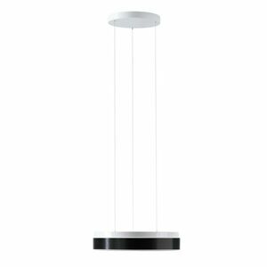 OSMONT DEL69908 DELIA LEC2 závěsné plastové svítidlo bílá / bílo - černá IP40 4000 K 24W LED obraz
