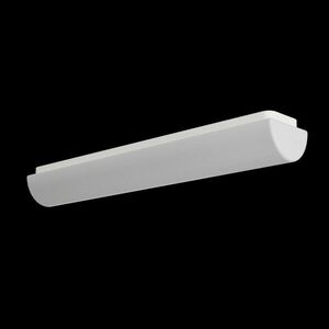 OSMONT GIE60500 GIEDI 2 stropní/nástěnné plastové svítidlo bílá IP44 4000 K 18W LED obraz