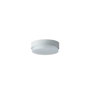 OSMONT TRI57711 TRITON 1 stropní/nástěnné průmyslové plastové svítidlo stříbrná / bílá IP65 4000 K 18W LED obraz