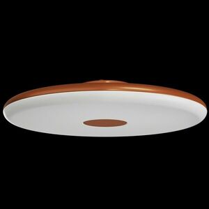 OSMONT ZET60522 ZETA 2 FP stropní/nástěnné plastové svítidlo terakota / bílá IP40 4000 K 38W LED obraz