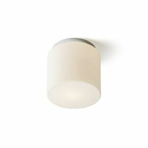 RED - DESIGN RENDL RENDL ARANA R 17 stropní opálové sklo/chrom 230V E27 15W IP44 R13682 obraz