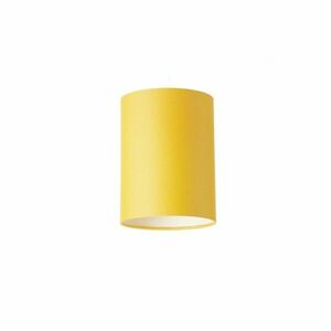 RED - DESIGN RENDL RENDL RON 15/20 stínidlo Chintz meruňková/bílé PVC max. 28W R11805 obraz