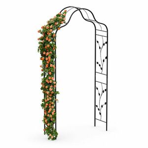 Blumfeldt FloraBelle Cupola růžový oblouk, ozdobné vzory listů, odolný vůči povětrnostním vlivům, podpora popínavých rostlin obraz