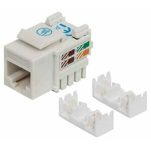 Intellinet 210591 Keystone modul C6 UTP bílý 210591 obraz