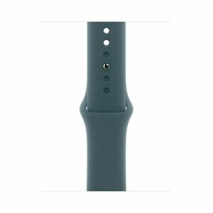Apple Watch 40mm Lake Green Sport Band - M/L obraz
