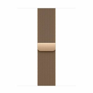 Apple Watch 42mm Gold Milanese Loop obraz