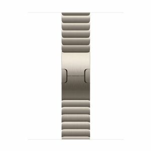Apple Watch 42mm Natural Link Bracelet obraz