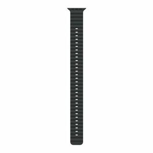 Apple Watch 49mm Black Ocean Band Extension - Natural Titanium Finish obraz