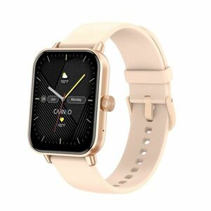CARNEO Versa HR+ rosegold obraz