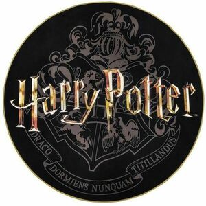 Podlahová rohožka Harry Potter obraz