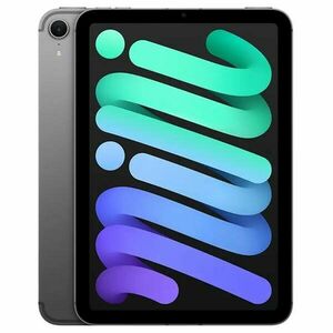 iPad mini Wi-Fi + Cellular 512GB Kozmický sivý (2024) obraz
