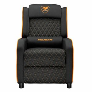 Cougar Ranger One, black obraz
