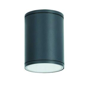 ACA Lighting E27 PAR30 venkovní kulaté stropní svítidlo 230V tmavě šedá IP65 MAX.35W LG2302E27G obraz