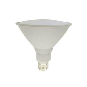 ACA Lighting PAR38 LED IP65 15W 1350lm 6000K 110st. 42V AC Ra80 PAR3815CW42 obraz