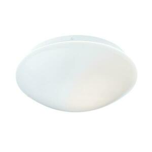 ACA Lighting Wall&Ceiling nástěnné a stropní svítidlo DLA260S obraz