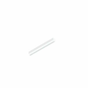 BIG WHITE (SLV) BATTEN P 600 28 830/840/850 WH 1009251 obraz