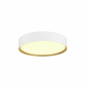 BIG WHITE (SLV) DECONA 30 CL, PHASE, povrchové stropní svítidlo, kulaté, 3000/4000K, 17 W, bílé/zlaté 1008919 obraz