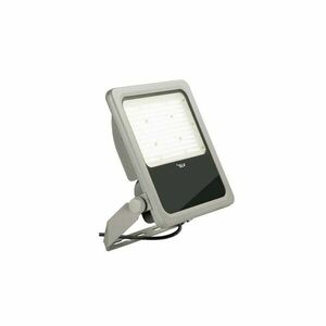 BIG WHITE (SLV) FLOODLIGHT C 50/75/100W 840 IP66 1008908 obraz