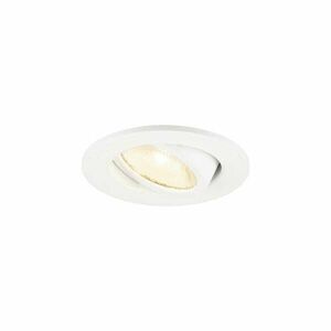 BIG WHITE (SLV) NEW TRIA® 45 DL, kulaté, vestavné stropní svítidlo, 3000 K, 24°, bílé 1009004 obraz