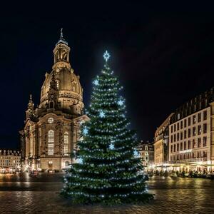 DecoLED LED světelná sada na stromy vysoké 15-17m, ledová bílá s dekory EFD05 obraz