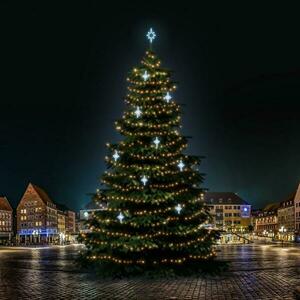 DecoLED LED světelná sada na stromy vysoké 21-23m, teplá bílá s ledově bílými dekory DZ113S4 obraz