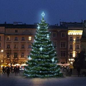 DecoLED LED světelná sada na stromy vysoké 6-8m, ledová bílá s dekory EFD15S2 obraz