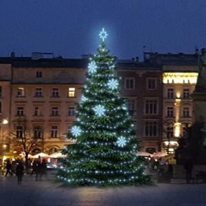 DecoLED LED světelná sada na stromy vysoké 9-11m, ledová bílá s dekory 8EFD08 obraz